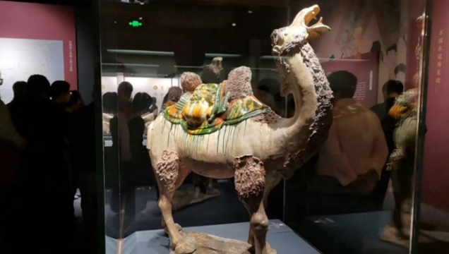 “周秦漢唐文物大展”在福建博物院開展