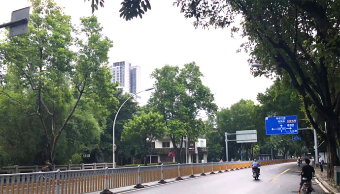 臺風“瑪莉亞”過境后　福州街頭恢復整潔